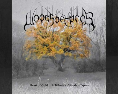 A Heart of Gold – A Tribute to Woods of Ypres